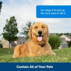 PetSafe Stay & Play Wireless Fence Rechargeable Receiver Collar -PetSafe Store 1016176 A3