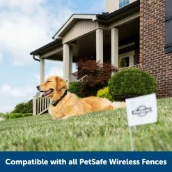 PetSafe Stay & Play Wireless Fence Rechargeable Receiver Collar -PetSafe Store 1016176 A6
