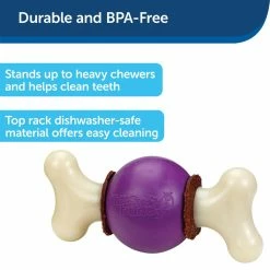 PetSafe Busy Buddy Bouncy Bone Dog Chew Toy, Medium/Large -PetSafe Store 1039159 A2