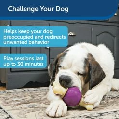 PetSafe Busy Buddy Bouncy Bone Dog Chew Toy, Medium/Large -PetSafe Store 1039159 A3