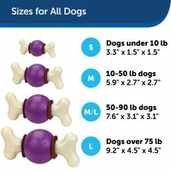 PetSafe Busy Buddy Bouncy Bone Dog Chew Toy, Medium/Large -PetSafe Store 1039159 A4