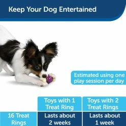 PetSafe Busy Buddy Rawhide Treat Ring Refills, Original Rawhide, Large -PetSafe Store 1039175 A5