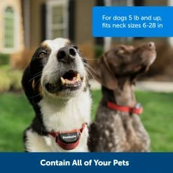 PetSafe Stubborn Dog Stay & Play Wireless Fence Receiver Collar -PetSafe Store 1052855 A3
