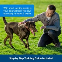 PetSafe Stubborn Dog Stay & Play Wireless Fence Receiver Collar -PetSafe Store 1052855 A4