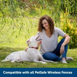 PetSafe Stubborn Dog Stay & Play Wireless Fence Receiver Collar -PetSafe Store 1052855 A6