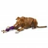PetSafe Busy Buddy Chuckle Dog Chew Toy 1 PetSafe Busy Buddy Chuckle Dog Chew Toy -PetSafe Store 1069293
