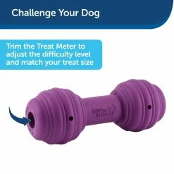 PetSafe Busy Buddy Chuckle Dog Chew Toy -PetSafe Store 1069293 A2