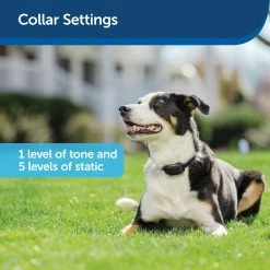 PetSafe YardMax Rechargeable In-Ground Fence Collar -PetSafe Store 1106831 A2
