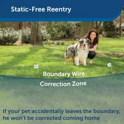 PetSafe YardMax Rechargeable In-Ground Fence Collar -PetSafe Store 1106831 A4