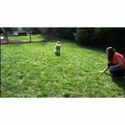 PetSafe YardMax Rechargeable In-Ground Fence Collar -PetSafe Store 1106831 VIDEO 1 480x270 1200k