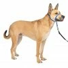 PetSafe Gentle Leader Quick Release Dog Head Collar -PetSafe Store 1106857