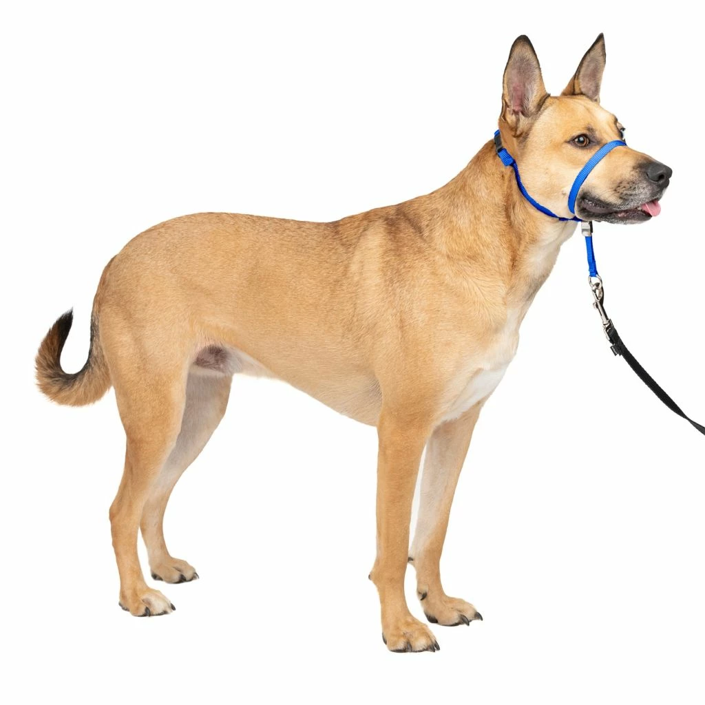 PetSafe Gentle Leader Quick Release Dog Head Collar 3 PetSafe Gentle Leader Quick Release Dog Head Collar