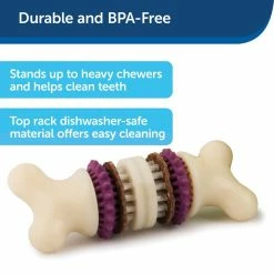 PetSafe Busy Buddy Dental Health Bristle Bone Dog Chew Toy, Large 11 PetSafe Busy Buddy Dental Health Bristle Bone Dog Chew Toy, Large -PetSafe Store 1106870 A2