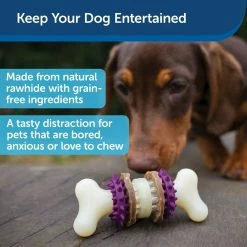 PetSafe Busy Buddy Dental Health Bristle Bone Dog Chew Toy, Large 12 PetSafe Busy Buddy Dental Health Bristle Bone Dog Chew Toy, Large -PetSafe Store 1106870 A3