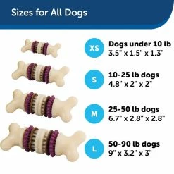 PetSafe Busy Buddy Dental Health Bristle Bone Dog Chew Toy, Large 13 PetSafe Busy Buddy Dental Health Bristle Bone Dog Chew Toy, Large -PetSafe Store 1106870 A4