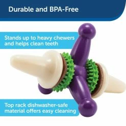 PetSafe Busy Buddy Dental Health Jack Dog Chew Toy, Small 10 PetSafe Busy Buddy Dental Health Jack Dog Chew Toy, Small -PetSafe Store 1106871 A2