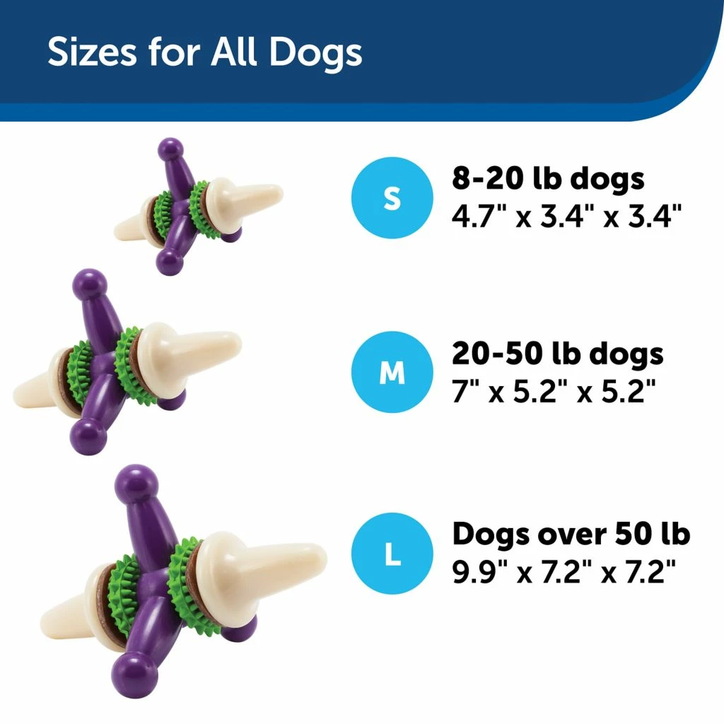 PetSafe Busy Buddy Dental Health Jack Dog Chew Toy, Small 7 PetSafe Busy Buddy Dental Health Jack Dog Chew Toy, Small - Image 5