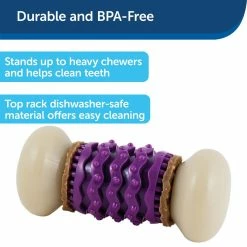 PetSafe Busy Buddy Nobbly Nubbly Dog Chew Toy, Small -PetSafe Store 1106873 A2
