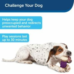 PetSafe Busy Buddy Dental Health Nobbly Nubbly Dog Chew Toy, Medium -PetSafe Store 1106874 A2