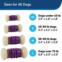 PetSafe Busy Buddy Dental Health Nobbly Nubbly Dog Chew Toy, Medium -PetSafe Store 1106874 A3