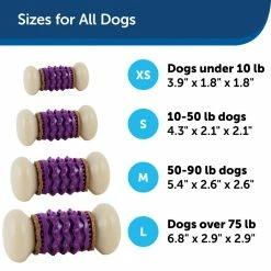 PetSafe Busy Buddy Dental Health Nobbly Nubbly Dog Chew Toy, Large, Size C -PetSafe Store 1106876 A4