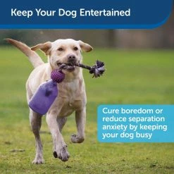 PetSafe Busy Buddy Tug-A-Jug Dog Toy, Medium/Large -PetSafe Store 1106881 A3