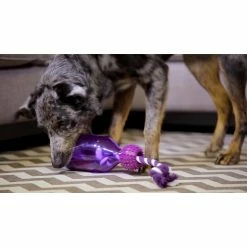 PetSafe Busy Buddy Tug-A-Jug Dog Toy, Medium/Large -PetSafe Store 1106881 VIDEO 1 480x270 1200k