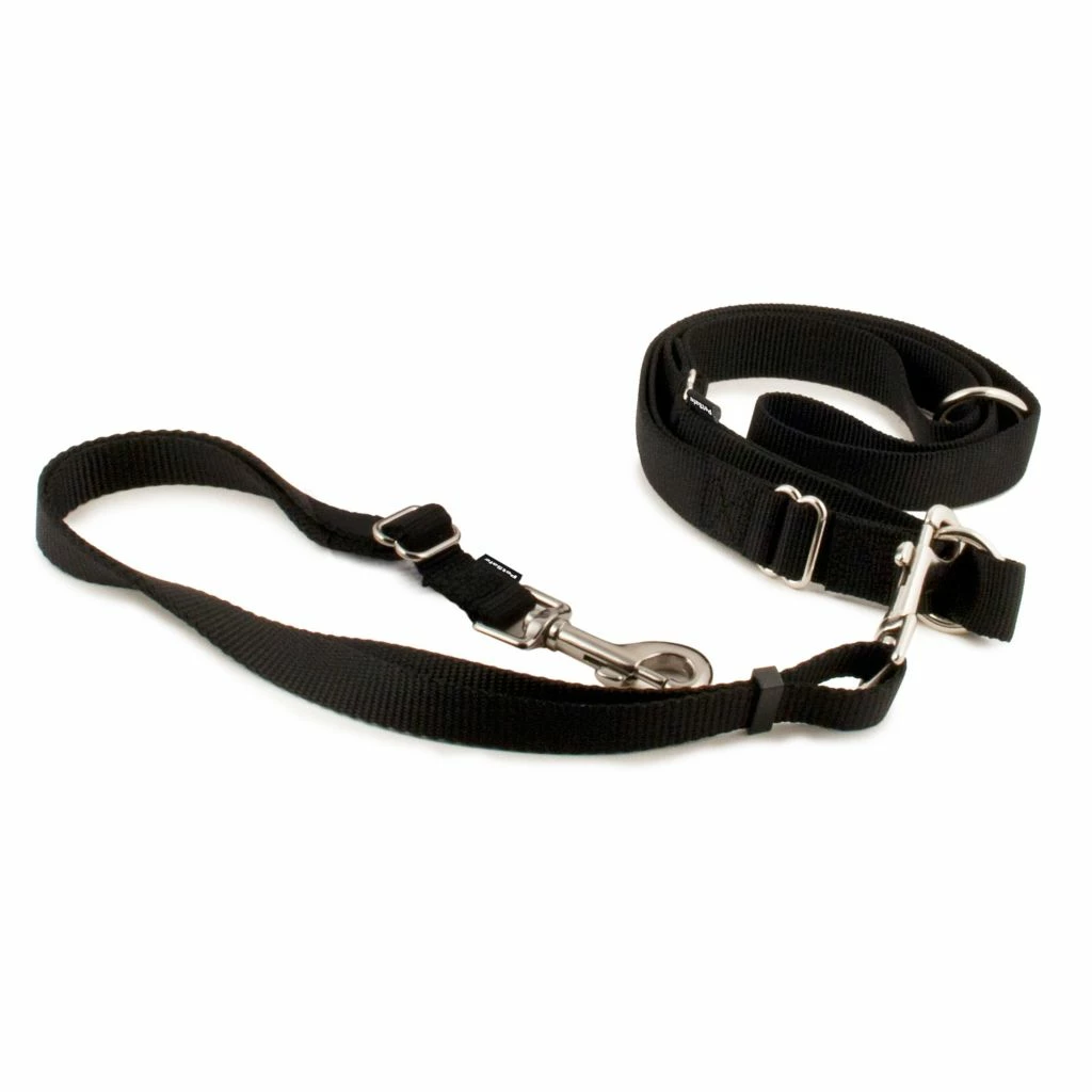 PetSafe Hands-Free Dog Leash 3 PetSafe Hands-Free Dog Leash