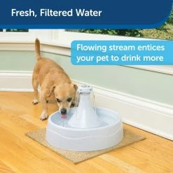 PetSafe Drinkwell 360 Dog and Cat Water Fountain, Plastic, 128 oz. 12 PetSafe Drinkwell 360 Dog and Cat Water Fountain, Plastic, 128 oz. -PetSafe Store 1136879 A3