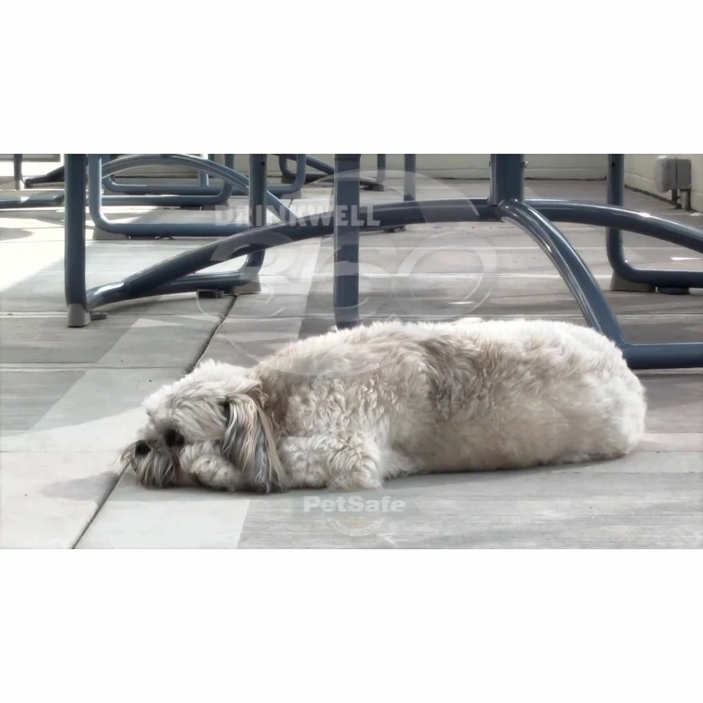 PetSafe Drinkwell 360 Dog and Cat Water Fountain, Plastic, 128 oz. 9 PetSafe Drinkwell 360 Dog and Cat Water Fountain, Plastic, 128 oz. - Image 7