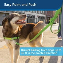 PetSafe Collarless Ultrasonic Remote Dog Training Collar, 30 ft. Range 14 PetSafe Collarless Ultrasonic Remote Dog Training Collar, 30 ft. Range -PetSafe Store 1181833 A4