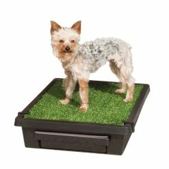 PetSafe Pet Loo Portable Pet Toilet