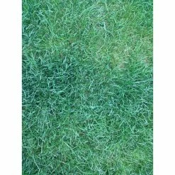 PetSafe Lawn Protector Pet Urine Neutralizer Water Pucks, 2 ct. 12 PetSafe Lawn Protector Pet Urine Neutralizer Water Pucks, 2 ct. -PetSafe Store 1181929 A2