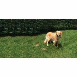 PetSafe Lawn Protector Pet Urine Neutralizer Water Pucks, 2 ct. 13 PetSafe Lawn Protector Pet Urine Neutralizer Water Pucks, 2 ct. -PetSafe Store 1181929 A3