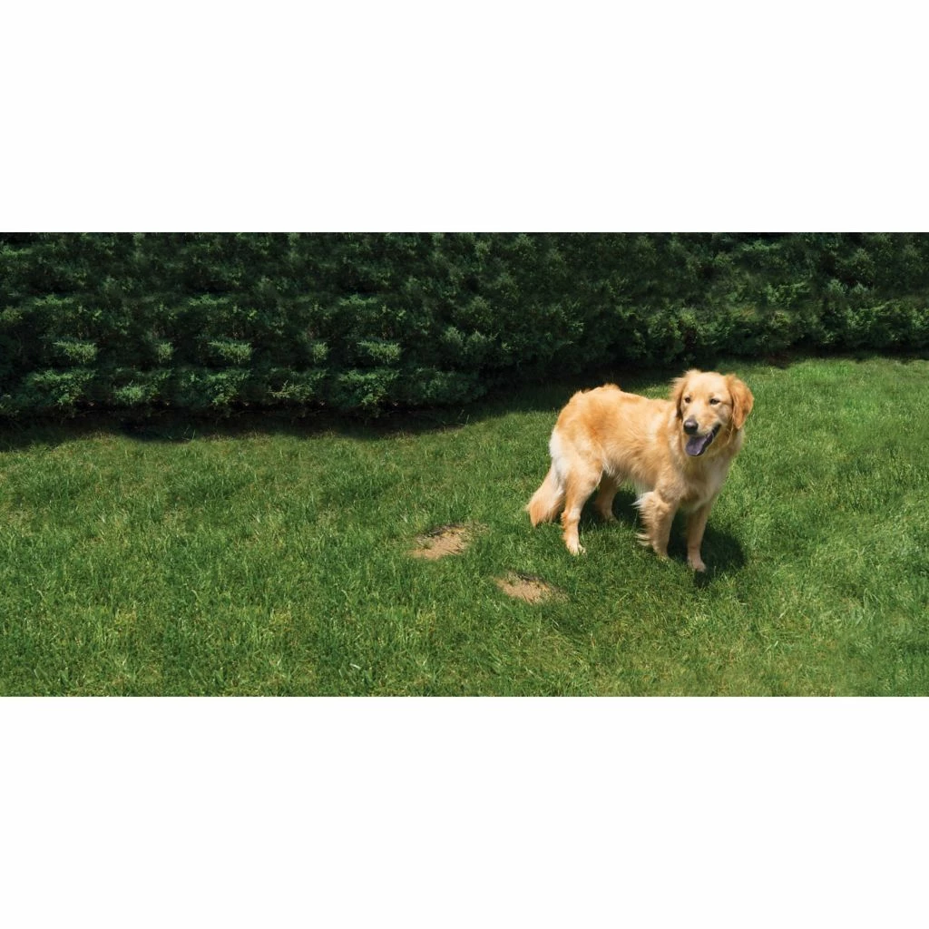 PetSafe Lawn Protector Pet Urine Neutralizer Water Pucks, 2 ct. 6 PetSafe Lawn Protector Pet Urine Neutralizer Water Pucks, 2 ct. - Image 4