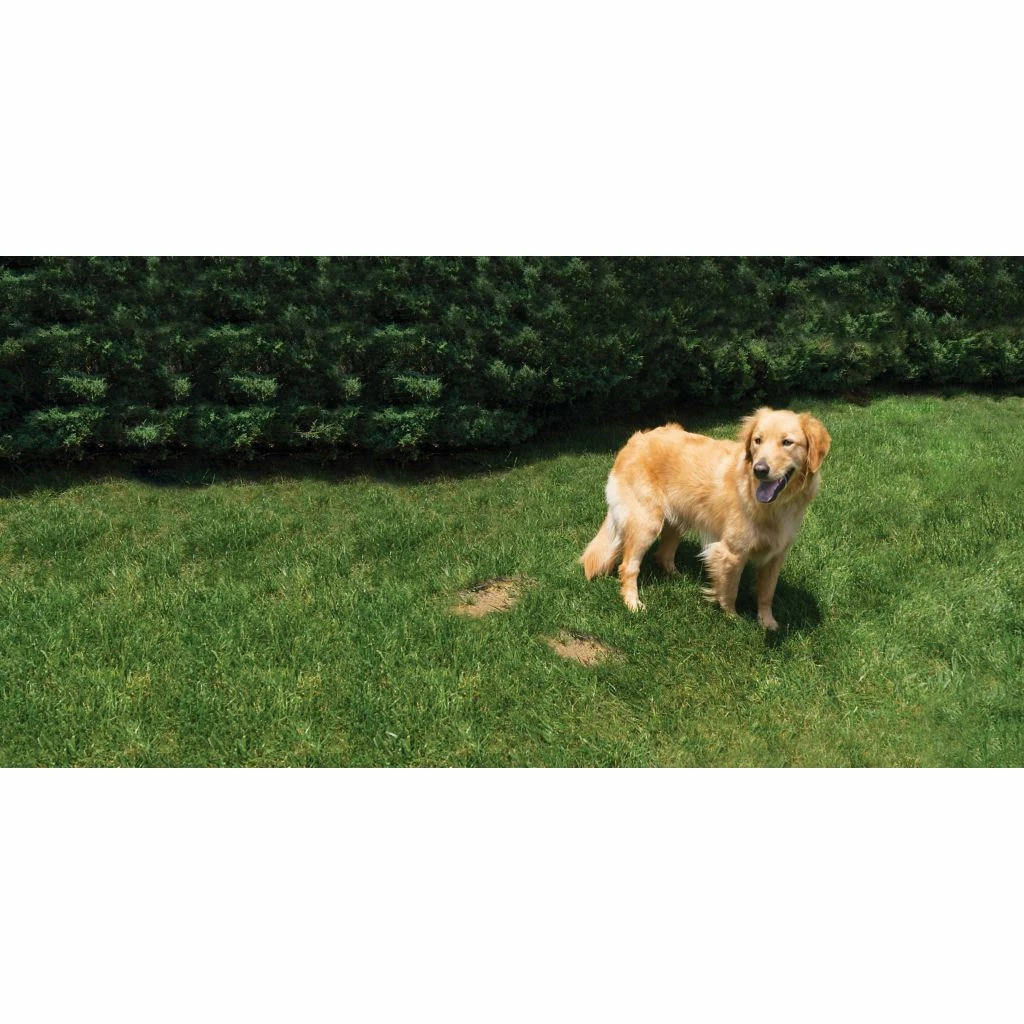 PetSafe Lawn Protector Pet Urine Neutralizer Water Pucks, 2 ct. 8 PetSafe Lawn Protector Pet Urine Neutralizer Water Pucks, 2 ct. - Image 6