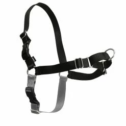 PetSafe Easy Walk Dog Harness -PetSafe Store 1182033