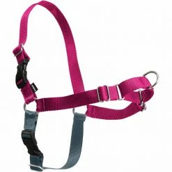 PetSafe Easy Walk Dog Harness -PetSafe Store 1182052