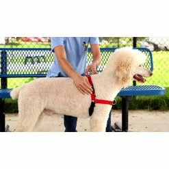 PetSafe Easy Walk Deluxe No-Pull Dog Harness 10 PetSafe Easy Walk Deluxe No-Pull Dog Harness -PetSafe Store 1182073 VIDEO 1 480x270 1200k