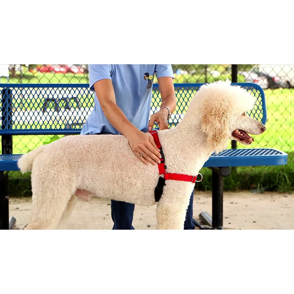 PetSafe Easy Walk Deluxe No-Pull Dog Harness 5 PetSafe Easy Walk Deluxe No-Pull Dog Harness - Image 3