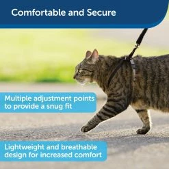 PetSafe Come With Me Kitty Adjustable Cat Harness and Bungee Leash, 3/8 in. -PetSafe Store 1182089 A2