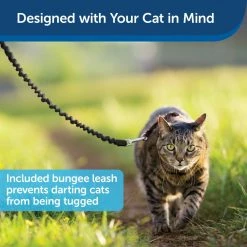 PetSafe Come With Me Kitty Adjustable Cat Harness and Bungee Leash, 3/8 in. -PetSafe Store 1182089 A3