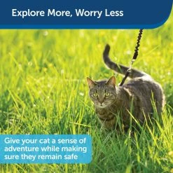 PetSafe Come With Me Kitty Adjustable Cat Harness and Bungee Leash, 3/8 in. -PetSafe Store 1182089 A4