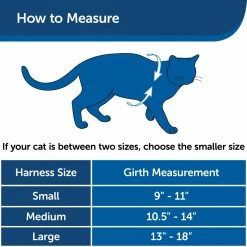 PetSafe Come With Me Kitty Adjustable Cat Harness and Bungee Leash, 3/8 in. -PetSafe Store 1182089 A5
