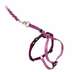 PetSafe Come With Me Kitty Adjustable Cat Harness and Bungee Leash, 3/8 in. -PetSafe Store 1182090