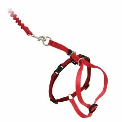 PetSafe Come With Me Kitty Adjustable Cat Harness and Bungee Leash, 3/8 in. -PetSafe Store 1182093