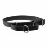PetSafe Premier Martingale Dog Collar -PetSafe Store 1182198