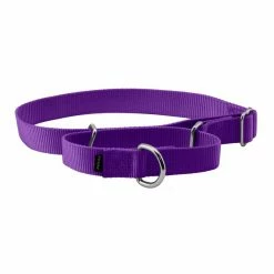 PetSafe Premier Martingale Dog Collar 9 PetSafe Premier Martingale Dog Collar -PetSafe Store 1182199