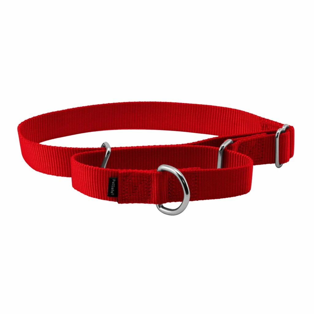 PetSafe Premier Martingale Dog Collar 5 PetSafe Premier Martingale Dog Collar - Image 3