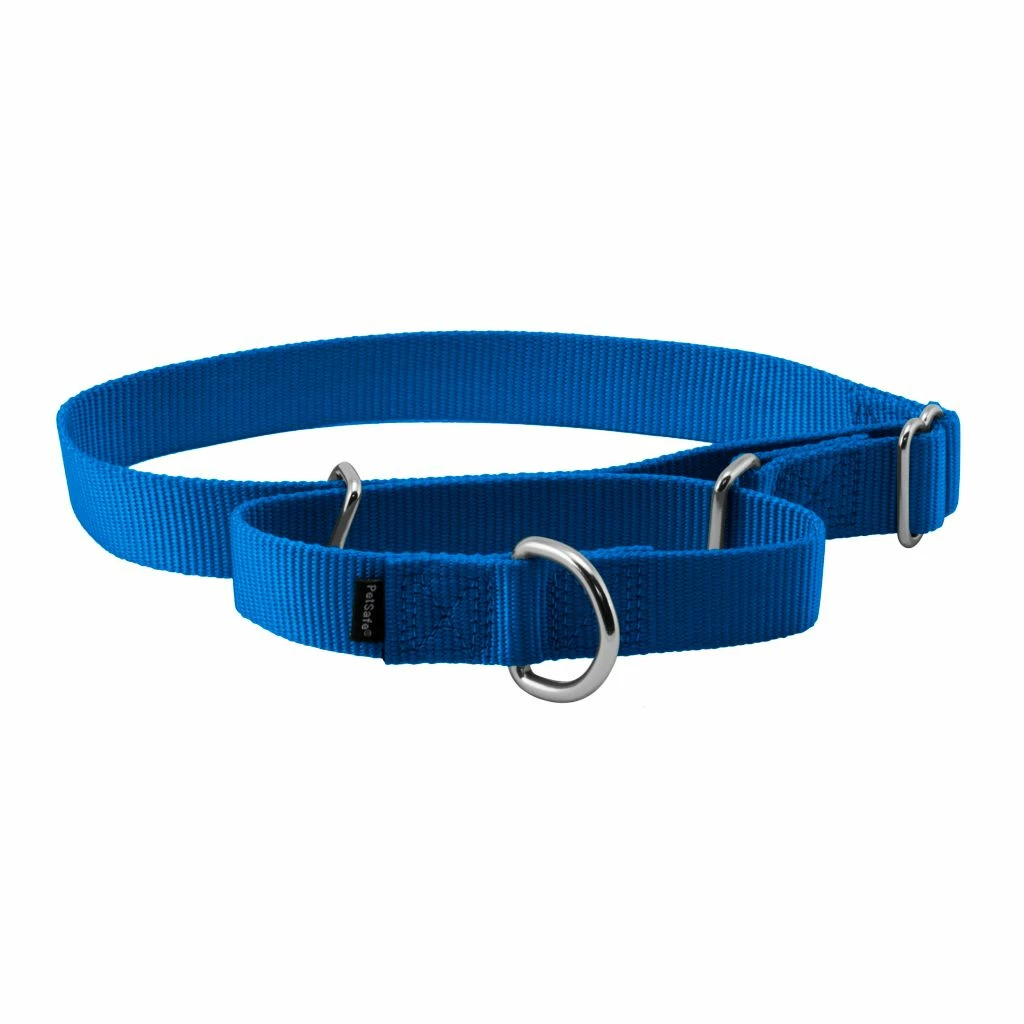 PetSafe Premier Martingale Dog Collar 4 PetSafe Premier Martingale Dog Collar - Image 2